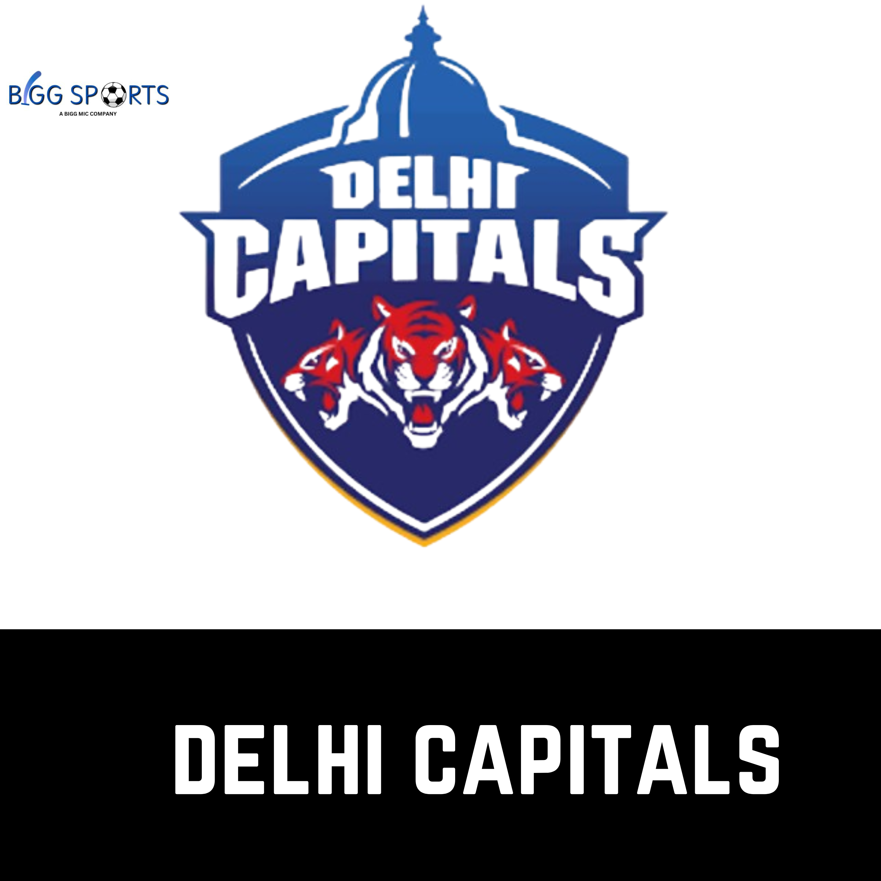 delhi capitals